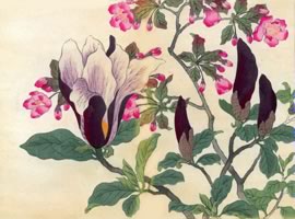 紫木蓮、海棠：矢代仁蔵書「四季の花」